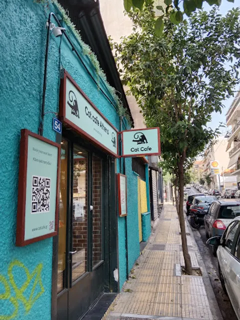 Cat Cafe Athens (7€/pers, Allowed Age 14+)