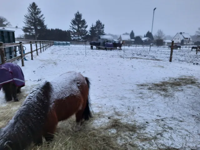 Ferienwohnungen & Appartements Paulmann