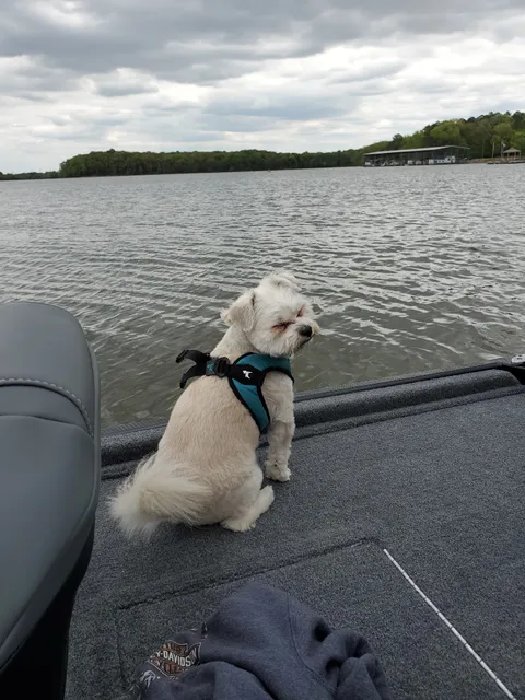 Wildlife Cove Village & Marina