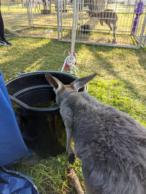 Applegrove Mobile Home Community