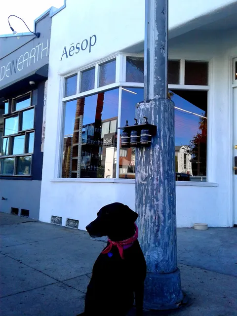 Aesop Abbot Kinney