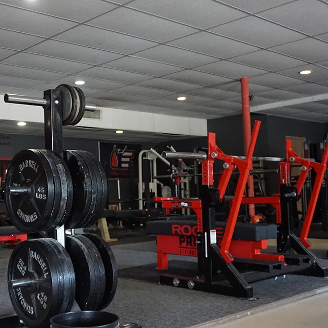 Primal Strength And Fitness