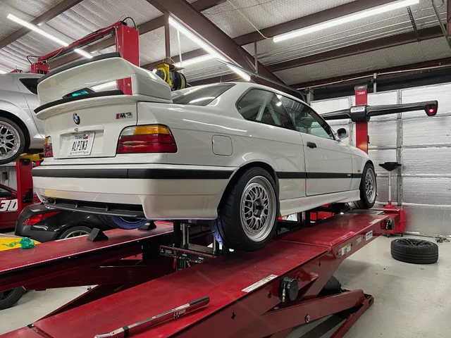 Doghouse Performance