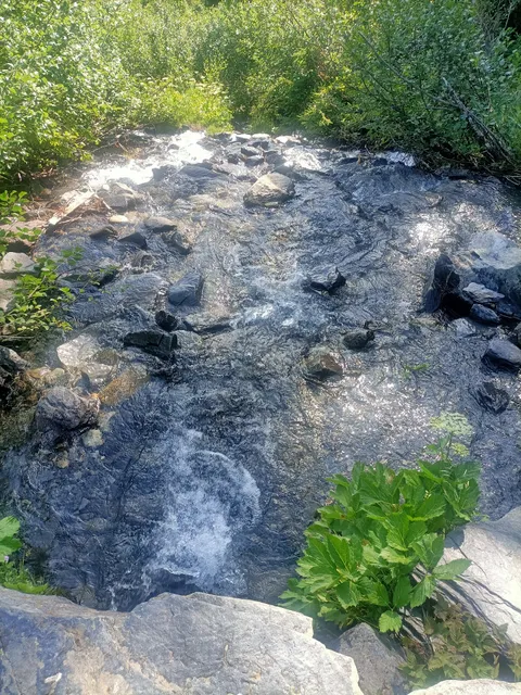 Skiniks in Les Terrasses de La Rosière