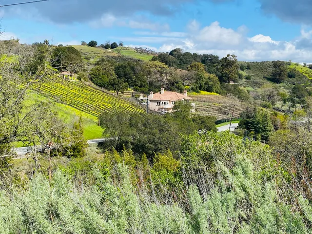 Mt. Eden Vista Point
