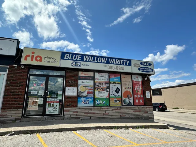 Blue Willow Variety & Communication