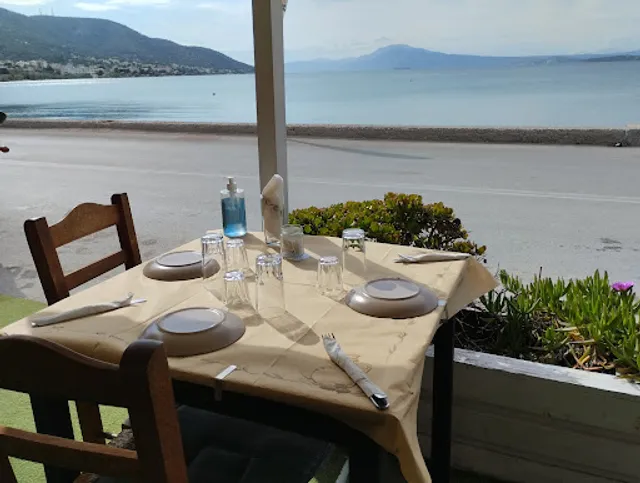 THICK SALT - RESTAURANT - TAVERN - cafe Delivery SALAMINA