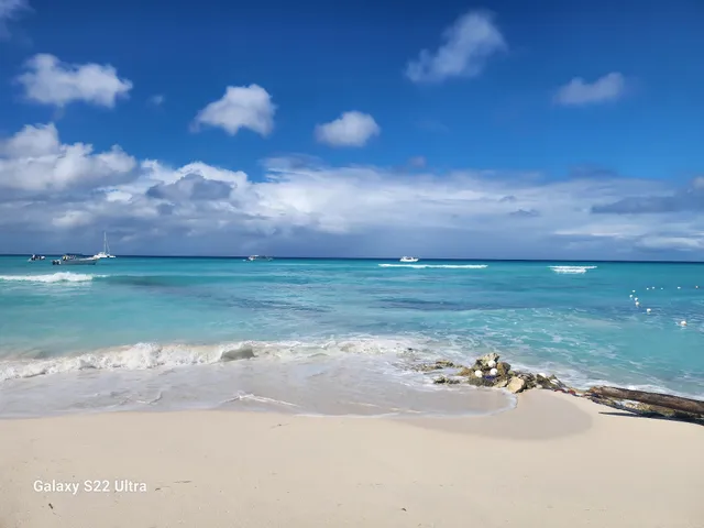 Saona Island Tours - Isla Saona Bayahibe La Romana