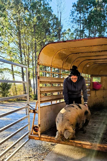 Whispering Pines Meat Processing