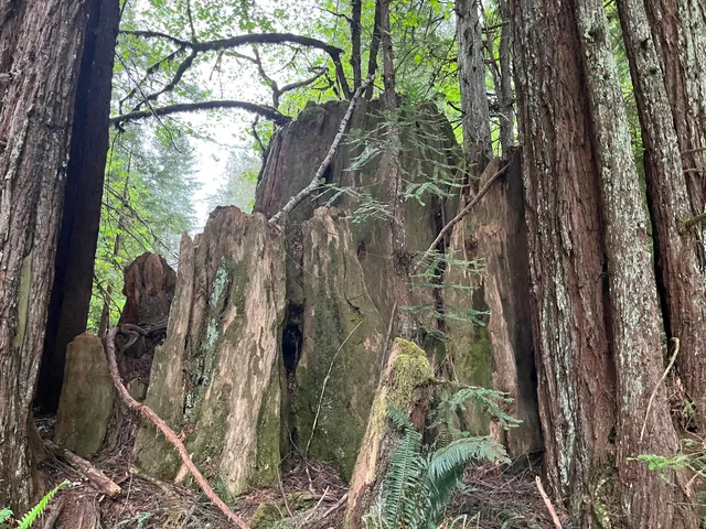 Mill Creek Campground