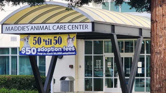 Joybound People & Pets