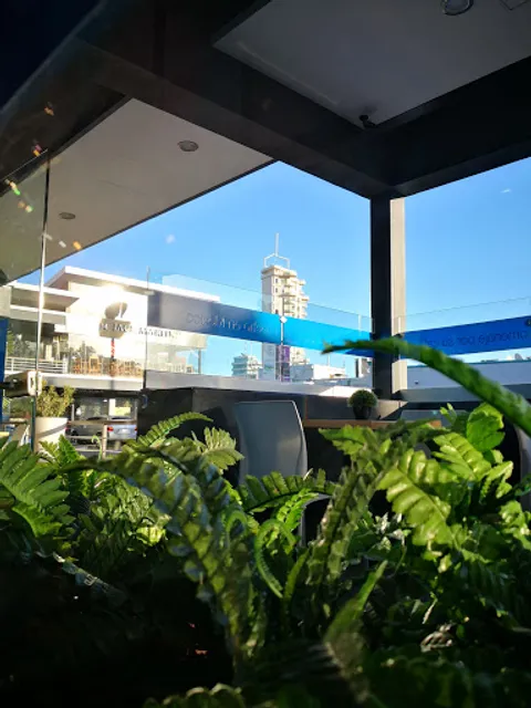 Café Punta del Cielo Plaza Ceiba