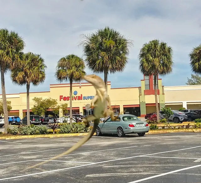 Ft. Lauderdale Plaza