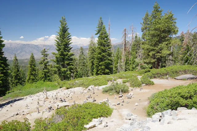 Kings Canyon Overlook