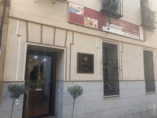 the organic tree from Spain