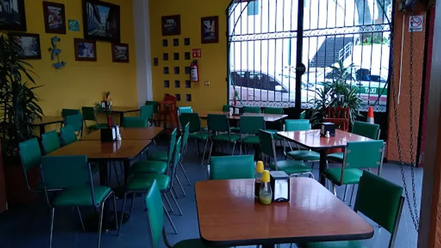 La Danza de los Delfines