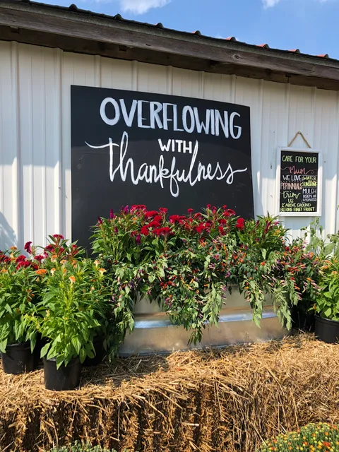 Hale’s Harvest Republic