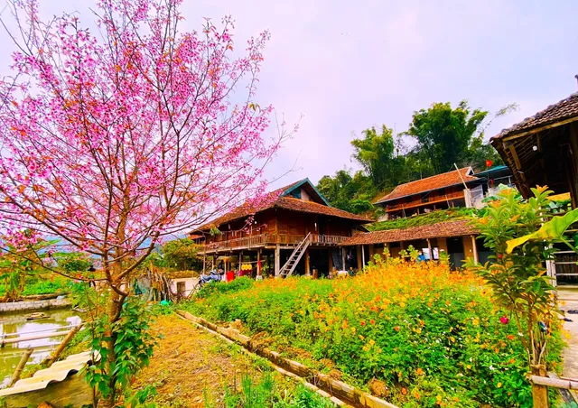 Frontier Hostel & Tours