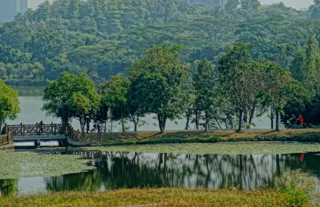 Dafushan Forest Park