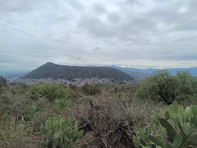 Centro de Educación Ambiental Yautlica
