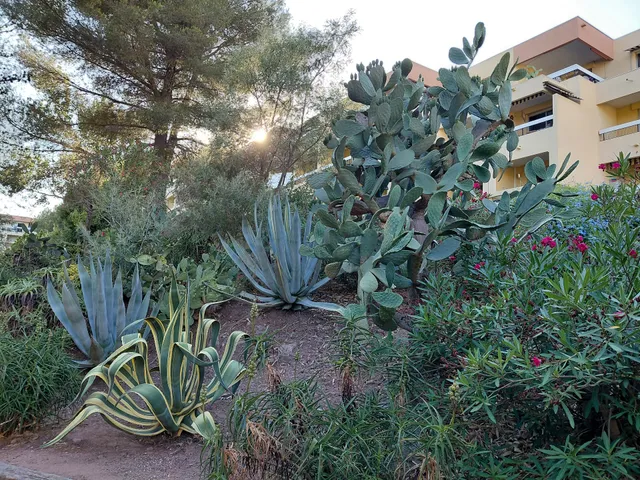 Studio Les estivales