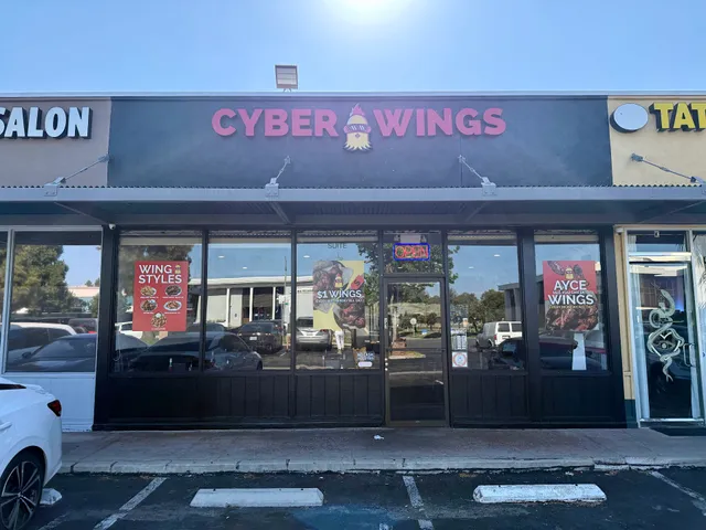 Cyber Wings
