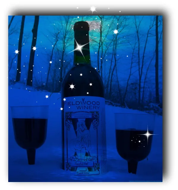 South Manheim Township