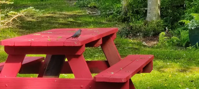 Jessica's Garden and Lobster Shack