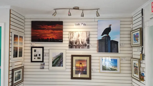 Gallery of Local Art - (GOLA)