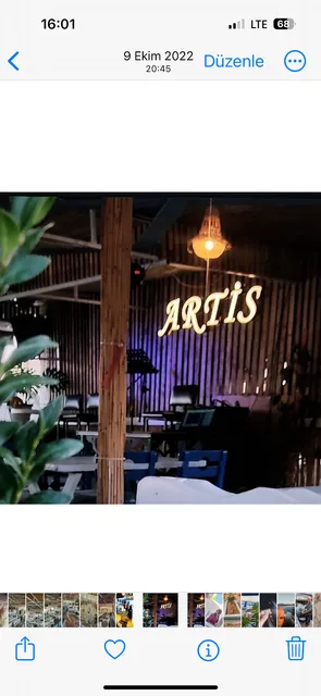 Artis restorant