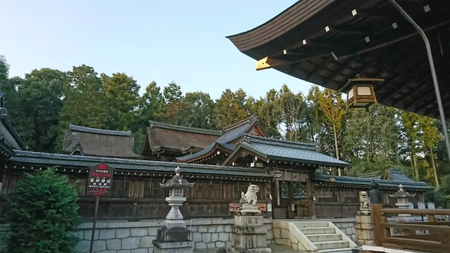 place image