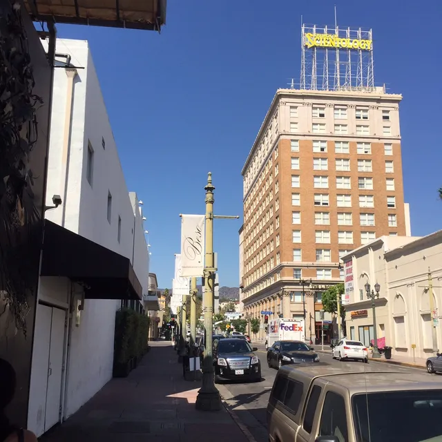 Church of Scientology International