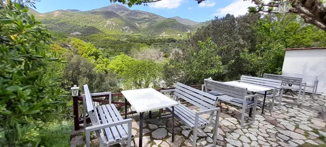 καφές-ποτό-φαγητό "ο εύηνος"