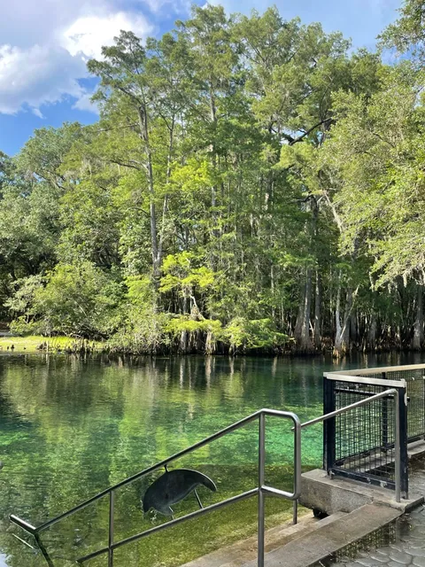 Manatee Springs State Park Tours & Activities