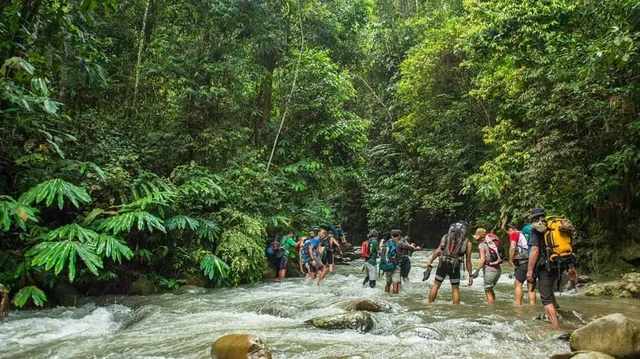 River Junkie Tours Sdn. Bhd