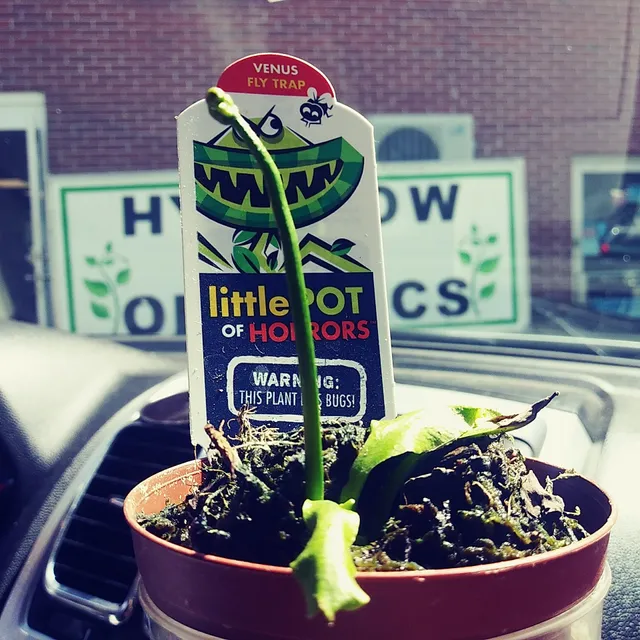 Houltons Market Square Shopping Center