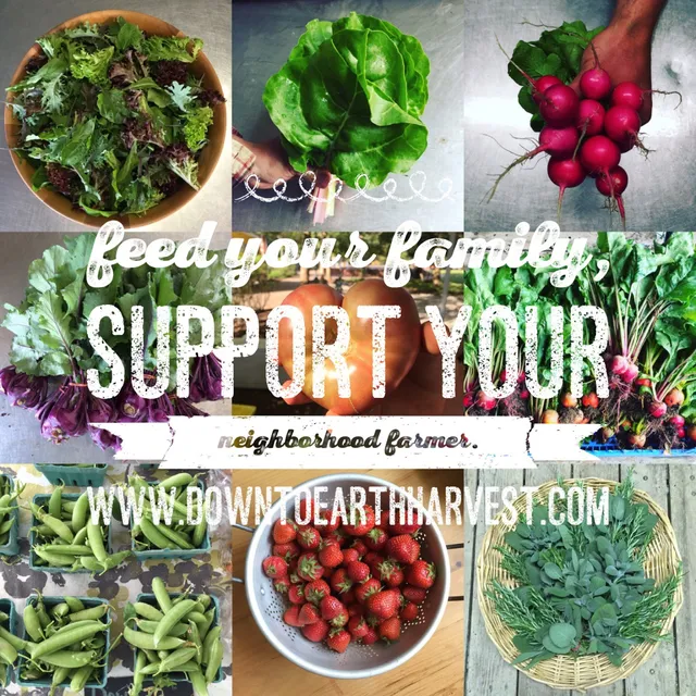 Down to Earth Harvest