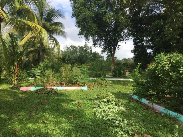Bukit Panjang Butterfly Garden