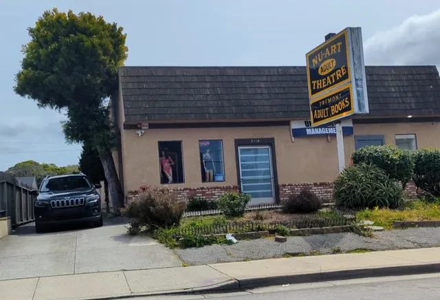 Nu-Art Adult Theatre