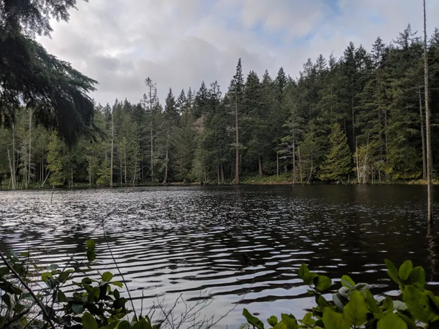Anacortes Community Forest Lands North