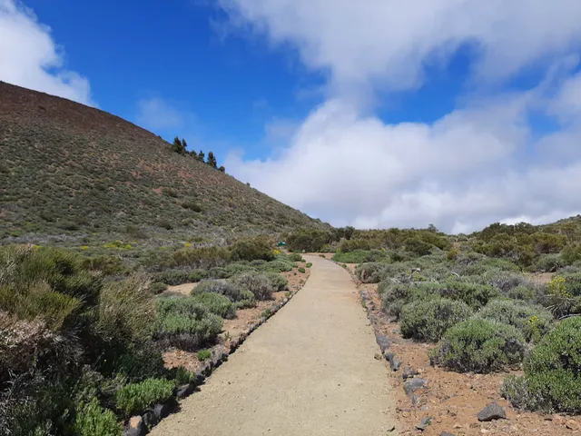 Mirador de el Alto de Guamaso