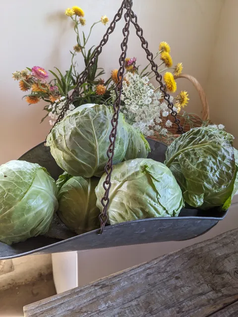 The Broken Plow Micro-Farm