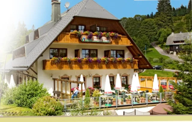 Hotel Höhengasthof Grüner Baum