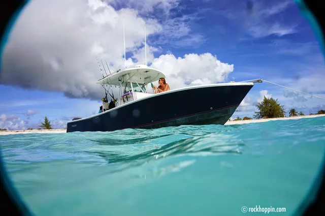 Rockhoppin' Adventures