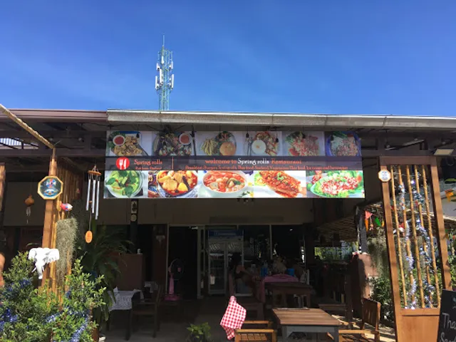 Spring Rolls