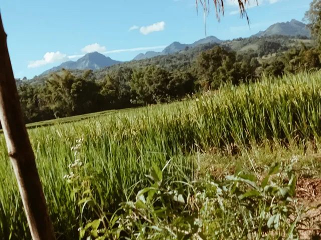 So So Pyay Pyay Hotel