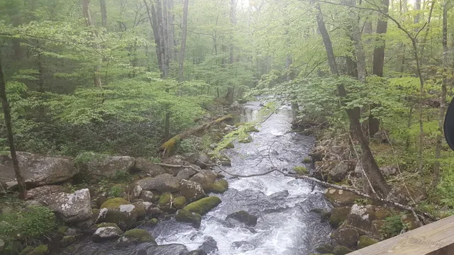 Old Sugarlands Trail Trailhead