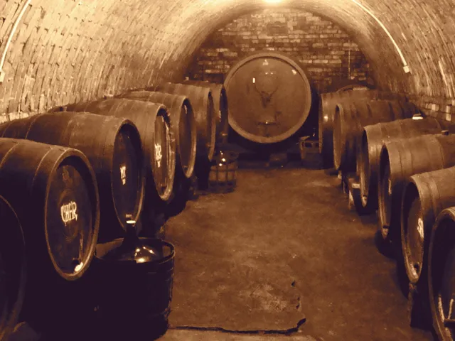 Tomáš Petratur Vinařství & Vinařský dům PETRATUR