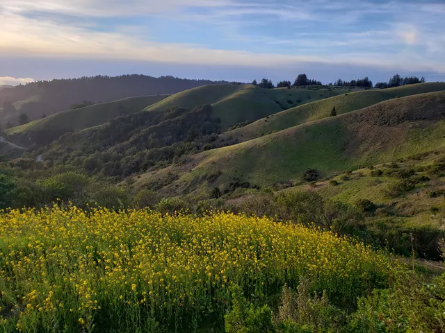 Anniversary Trail Picnic Tables