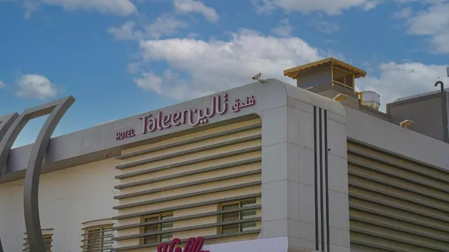 تالين العقيق